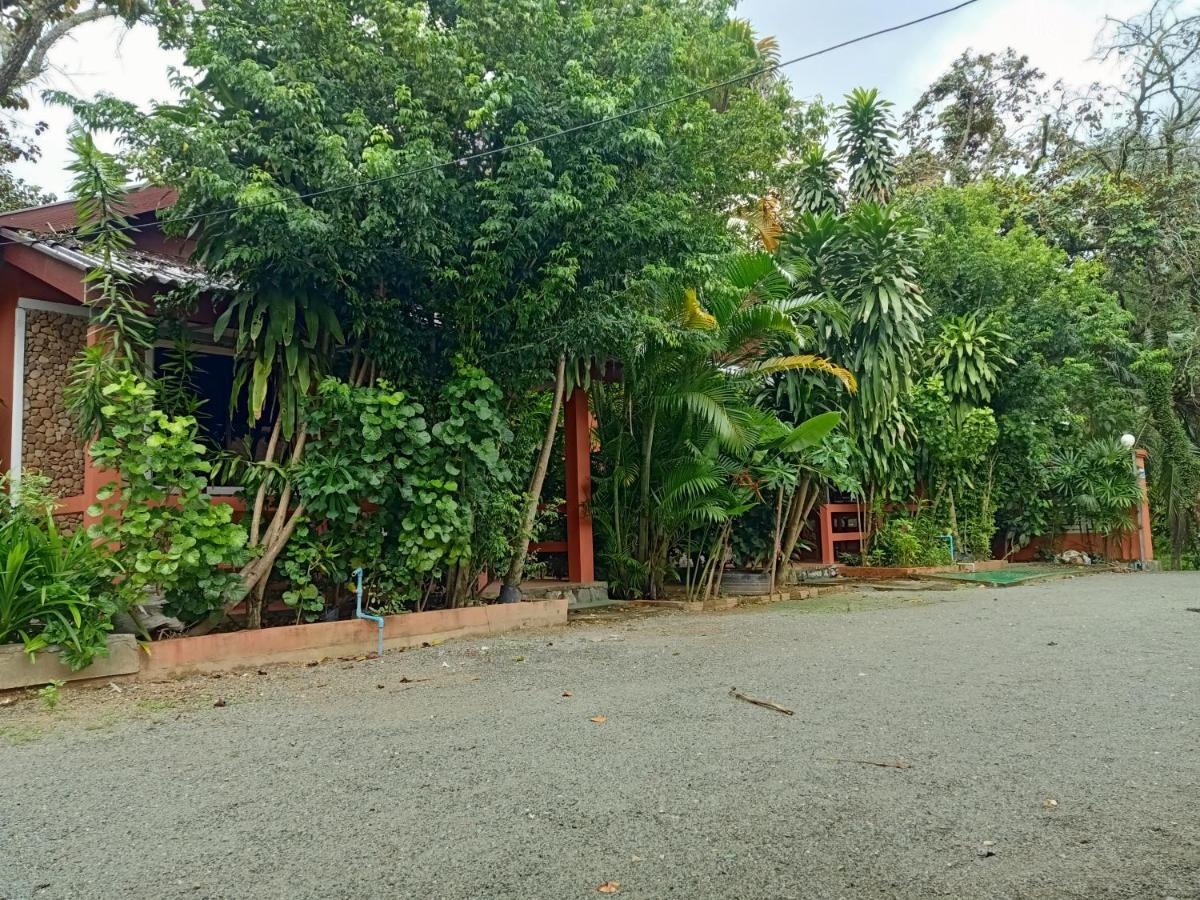 白马市 Pina House酒店 外观 照片